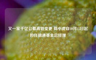 又一家千亿公募高管变更 商小虎自10月25日起担任融通基金总经理