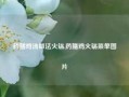 药膳鸡汤做法火锅,药膳鸡火锅菜单图片