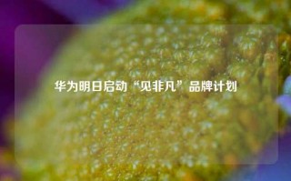 华为明日启动“见非凡”品牌计划