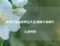 海鲜火锅汤底做法大全,海鲜火锅做什么汤料好