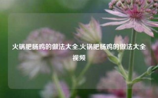 火锅肥肠鸡的做法大全,火锅肥肠鸡的做法大全视频