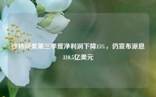 沙特阿美第三季度净利润下降15%，仍宣布派息310.5亿美元