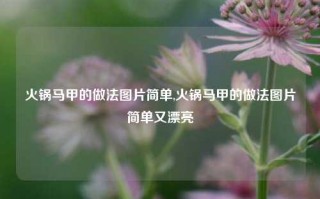 火锅马甲的做法图片简单,火锅马甲的做法图片简单又漂亮