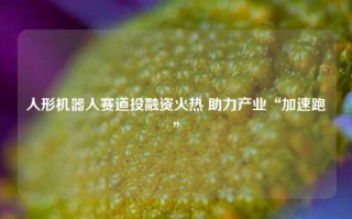 人形机器人赛道投融资火热 助力产业“加速跑”