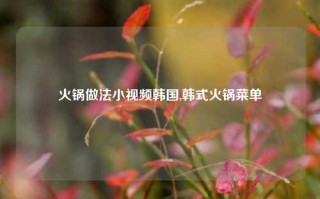 火锅做法小视频韩国,韩式火锅菜单