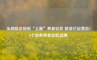 头部险企纷纷“上新”养老社区 险资已运营近20个自有养老社区品牌