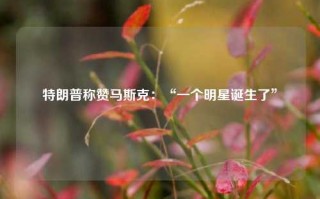 特朗普称赞马斯克：“一个明星诞生了”