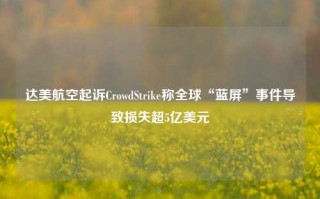 达美航空起诉CrowdStrike称全球“蓝屏”事件导致损失超5亿美元