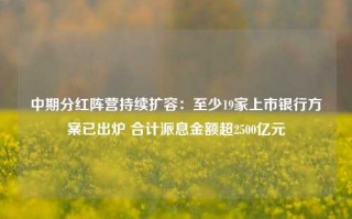 中期分红阵营持续扩容：至少19家上市银行方案已出炉 合计派息金额超2500亿元