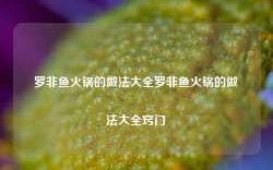 罗非鱼火锅的做法大全罗非鱼火锅的做法大全窍门