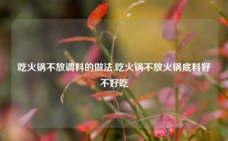 吃火锅不放调料的做法,吃火锅不放火锅底料好不好吃