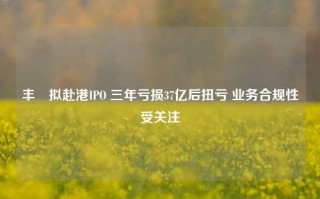 丰巣拟赴港IPO 三年亏损37亿后扭亏 业务合规性受关注