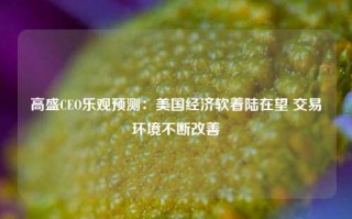 高盛CEO乐观预测：美国经济软着陆在望 交易环境不断改善