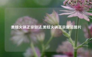 美蛙火锅正宗做法,美蛙火锅正宗做法图片