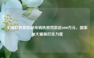 无锡虹桥医院被吊销执照罚款近6000万元，国家加大骗保打击力度