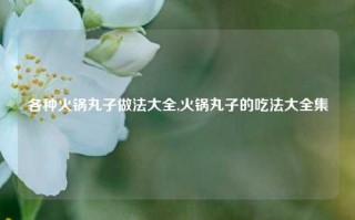 各种火锅丸子做法大全,火锅丸子的吃法大全集