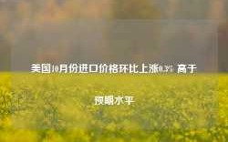 美国10月份进口价格环比上涨0.3% 高于预期水平