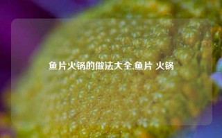 鱼片火锅的做法大全,鱼片 火锅