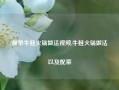 简单牛蛙火锅做法视频,牛蛙火锅做法以及配菜