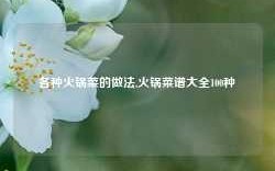 各种火锅菜的做法,火锅菜谱大全100种