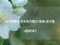 可控核聚变龙头东方精工7连板 这才是AI的尽头？