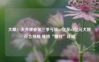 大摩：天齐锂业第三季亏损3.2亿至6.4亿元大致符合预期 维持“增持”评级