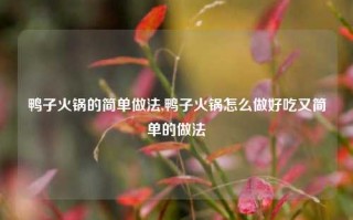 鸭子火锅的简单做法,鸭子火锅怎么做好吃又简单的做法