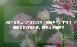 A股半导体公司集体交优秀“成绩单”，半导体市场复苏态势向好，调整或迎布局期