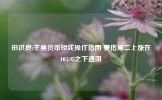 田洪良:主要货币短线操作指南 美指周二上涨在103.95之下遇阻