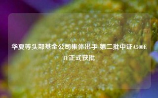 华夏等头部基金公司集体出手 第二批中证A500ETF正式获批