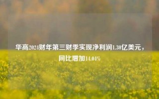 华高2024财年第三财季实现净利润1.30亿美元，同比增加14.04%