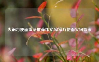 火锅方便面做法推荐作文,家常方便面火锅做法