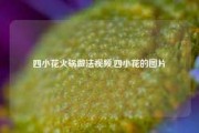 四小花火锅做法视频,四小花的图片