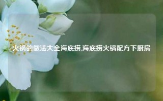 火锅的做法大全海底捞,海底捞火锅配方下厨房