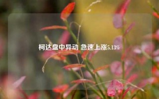 柯达盘中异动 急速上涨5.13%