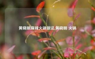 黄晓明麻辣火锅做法,黄晓明 火锅