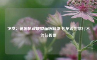 突发：德国执政联盟面临解体 朔尔茨将举行不信任投票