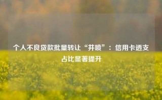 个人不良贷款批量转让“井喷”：信用卡透支占比显著提升