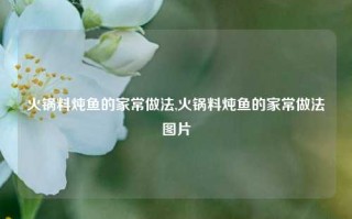 火锅料炖鱼的家常做法,火锅料炖鱼的家常做法图片