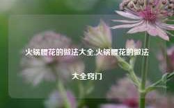 火锅腰花的做法大全,火锅腰花的做法大全窍门