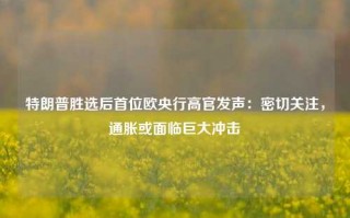 特朗普胜选后首位欧央行高官发声：密切关注，通胀或面临巨大冲击