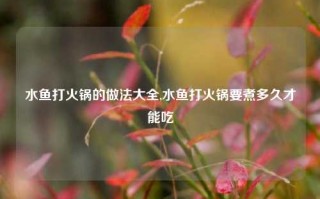 水鱼打火锅的做法大全,水鱼打火锅要煮多久才能吃