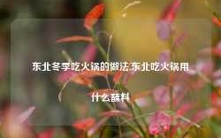 东北冬季吃火锅的做法,东北吃火锅用什么蘸料