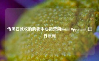 传黑石就收购购物中心运营商Retail Opportunity进行谈判