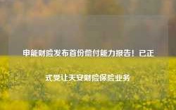 申能财险发布首份偿付能力报告！已正式受让天安财险保险业务