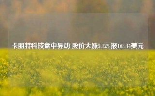 卡朋特科技盘中异动 股价大涨5.12%报163.44美元