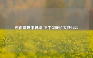 惠而浦盘中异动 下午盘股价大跌5.05%