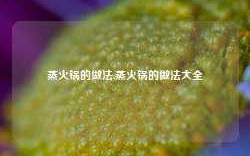 蒸火锅的做法,蒸火锅的做法大全