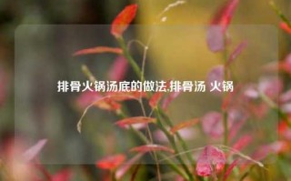 排骨火锅汤底的做法,排骨汤 火锅