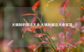 火锅粉的做法大全,火锅粉做法大全家常